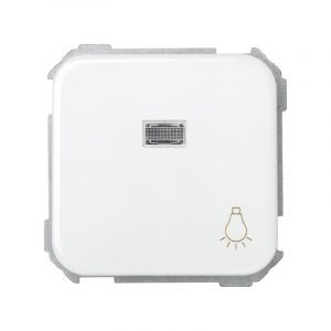 Pulsador con grabado luz 10 A 250V~, luminoso incorporado y sistema de embornamiento rápido Simon 31