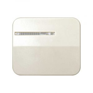 Tecla individual para mecanismos de mando con luminoso Simon 75 - Marfil
